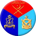 Military Engineer Services logo